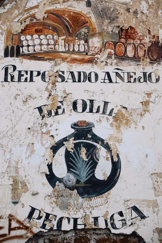 066 oaxaca mexico phototour 683x1024 - Oaxaca – Un Mundo entre Arte y Sabor