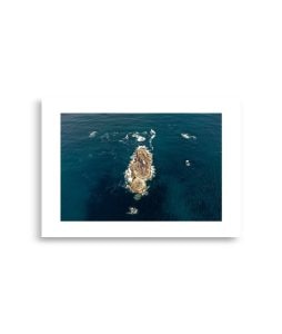 enhanced matte paper poster cm 21x30 cm front 6925ce7a8adf0 254x300 - Poster Galizien enhanced matte paper poster cm 21x30 cm front 6925ce7a8adf0 254x300 - Poster Galizien