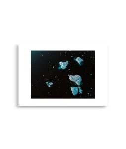 enhanced matte paper poster cm x cm front cbe.jpg