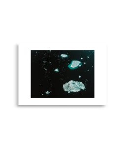 enhanced matte paper poster cm x cm front ccc.jpg
