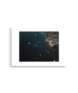 enhanced matte paper poster cm x cm front ccddd.jpg