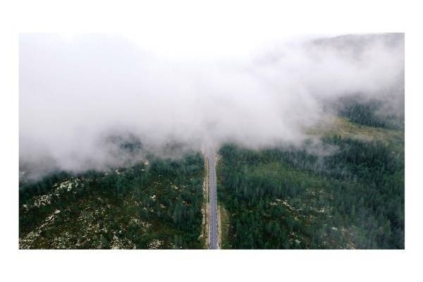 norway i2v 0001 web 600x400 - Norwegen 01 - Nebelverhangene norwegische Straße durch unberührte Waldwildnis