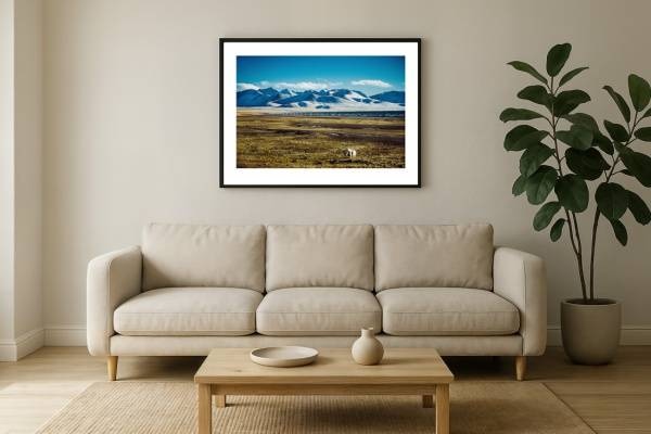 tibet i2v 0011 wall 600x400 - Tibet 11 - Einsamer Yak auf den tibetischen Hochlanden unter majestätischen Bergen