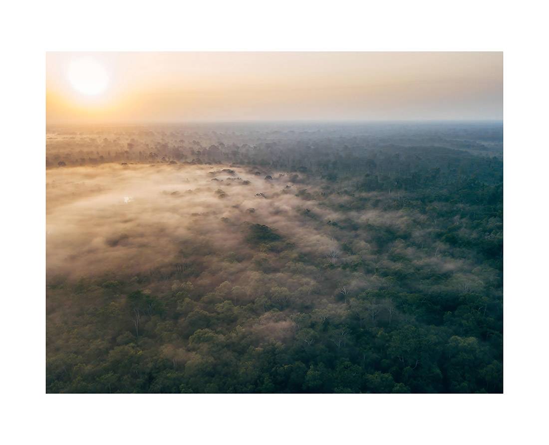 borneo bali 2018 0078 web - Borneo 03 - Ätherischer Sonnenaufgang über dem uralten Regenwald Borneos mit Morgennebel