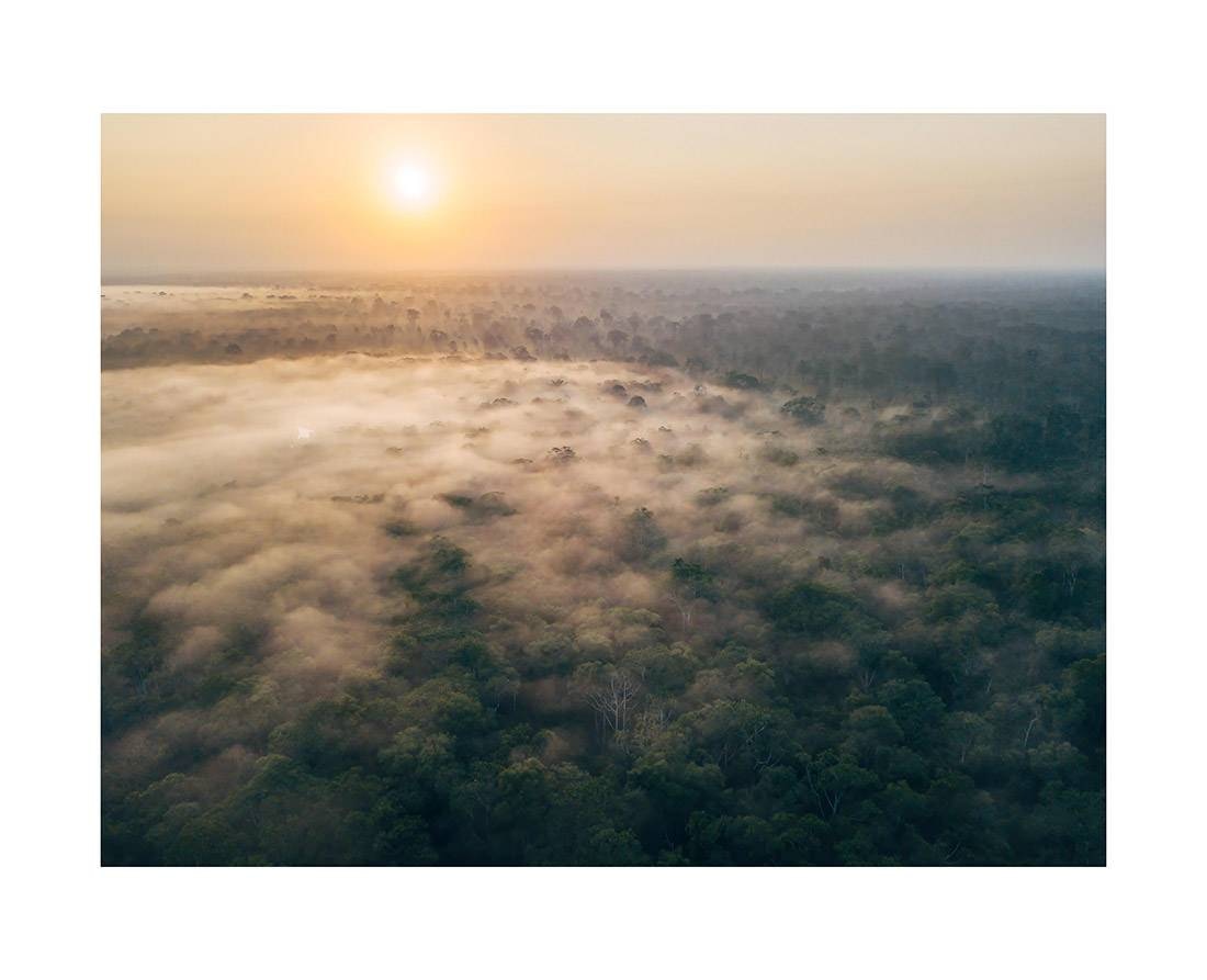 borneo bali 2018 0080 web - Borneo 04 - Sonnenaufgangs-Ruhe über dem nebelverhangenen Dschungeldach Borneos