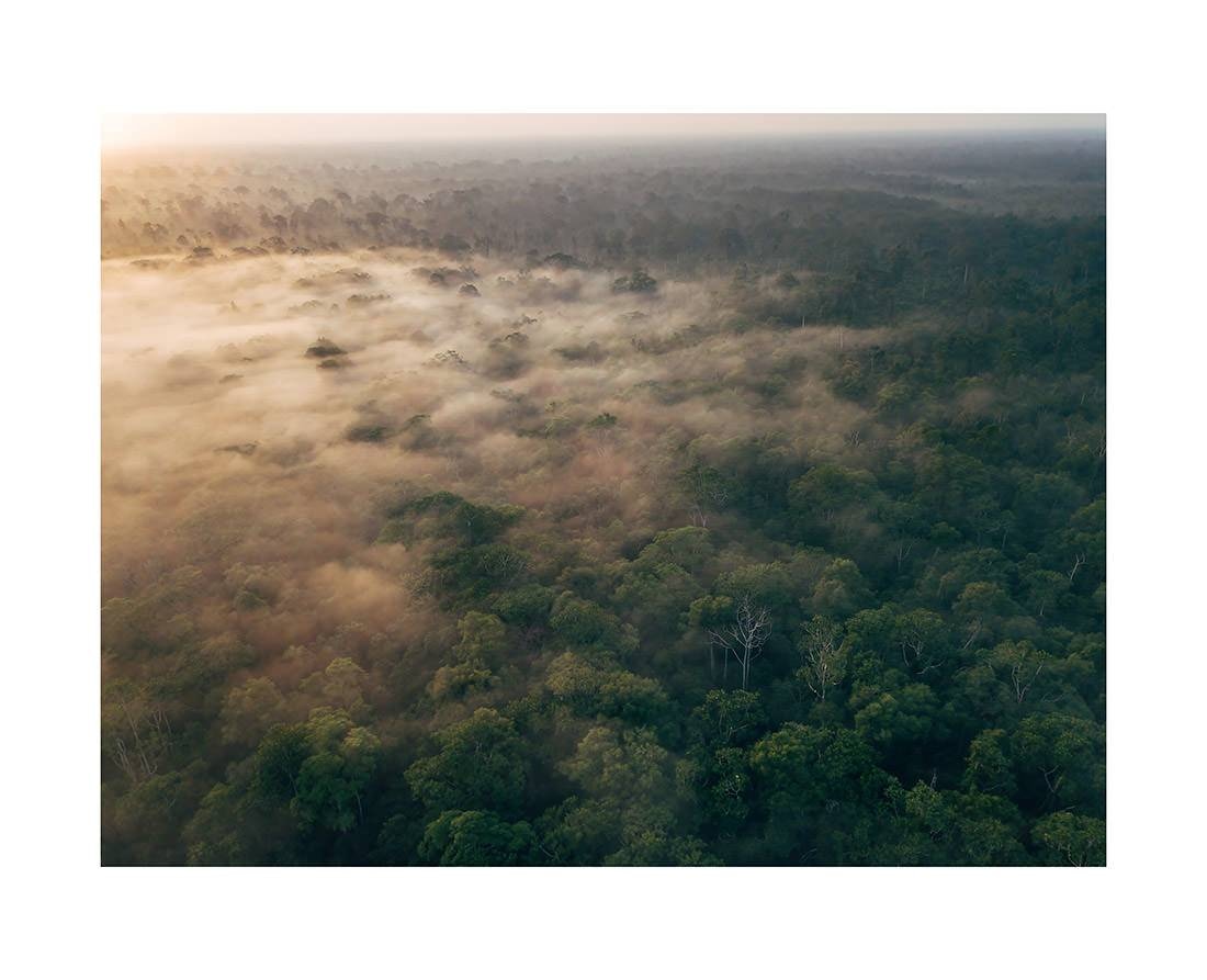 borneo bali 2018 0081 web - Borneo 05 - Sonnenaufgangs-Dschungelflug: Ruhiger Luftblick auf das Blätterdach Borneos