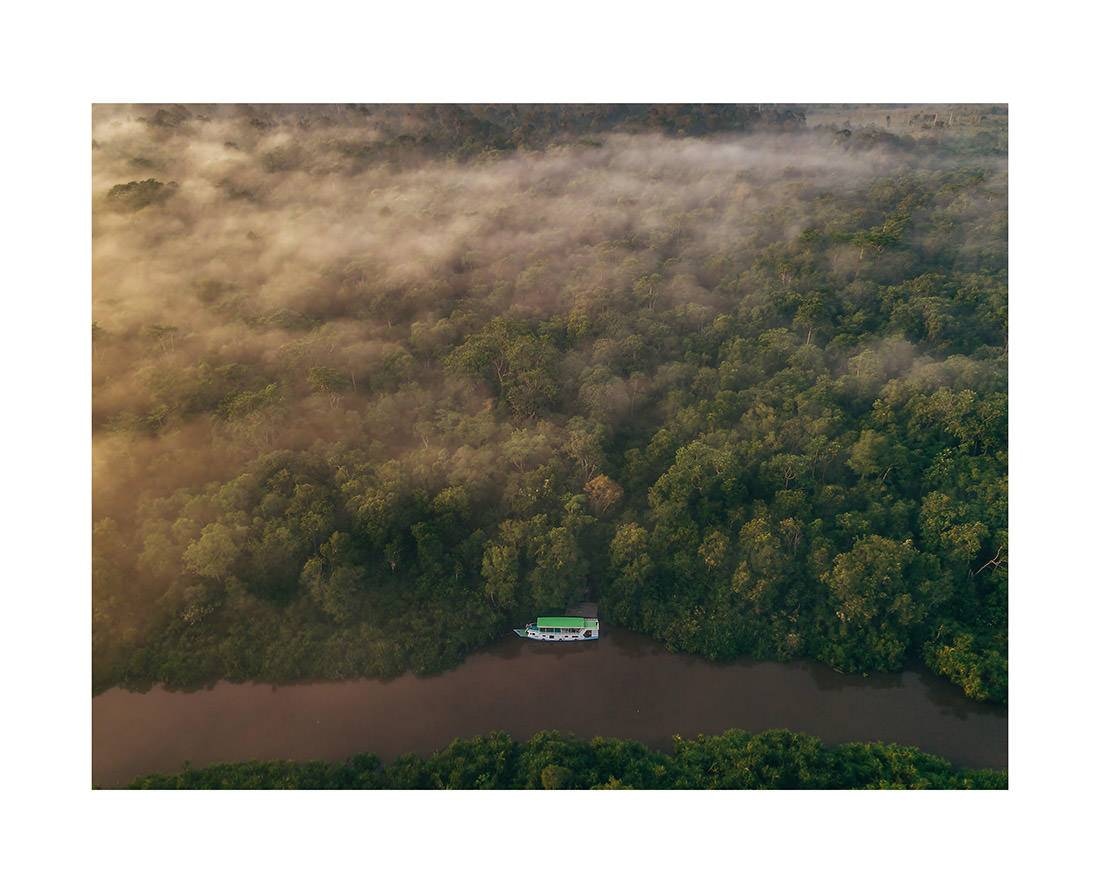 borneo bali 2018 0089 web - Borneo 07 - Mystische Morgendämmerung über dem Regenwalddach Borneos mit Morgennebel