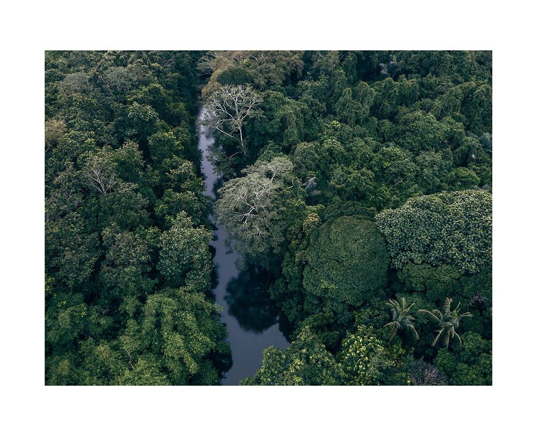 borneo bali 2018 0178 web - Borneo 08 - Dschungeldach Borneos aus der Vogelperspektive
