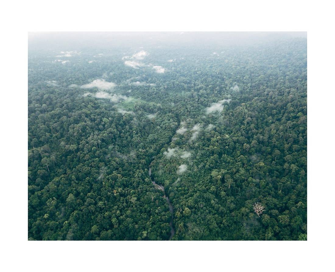 borneo bali 2018 0186 web - Borneo 09 - Ruhiger Drohnenflug über den makellosen Dschungel Borneos