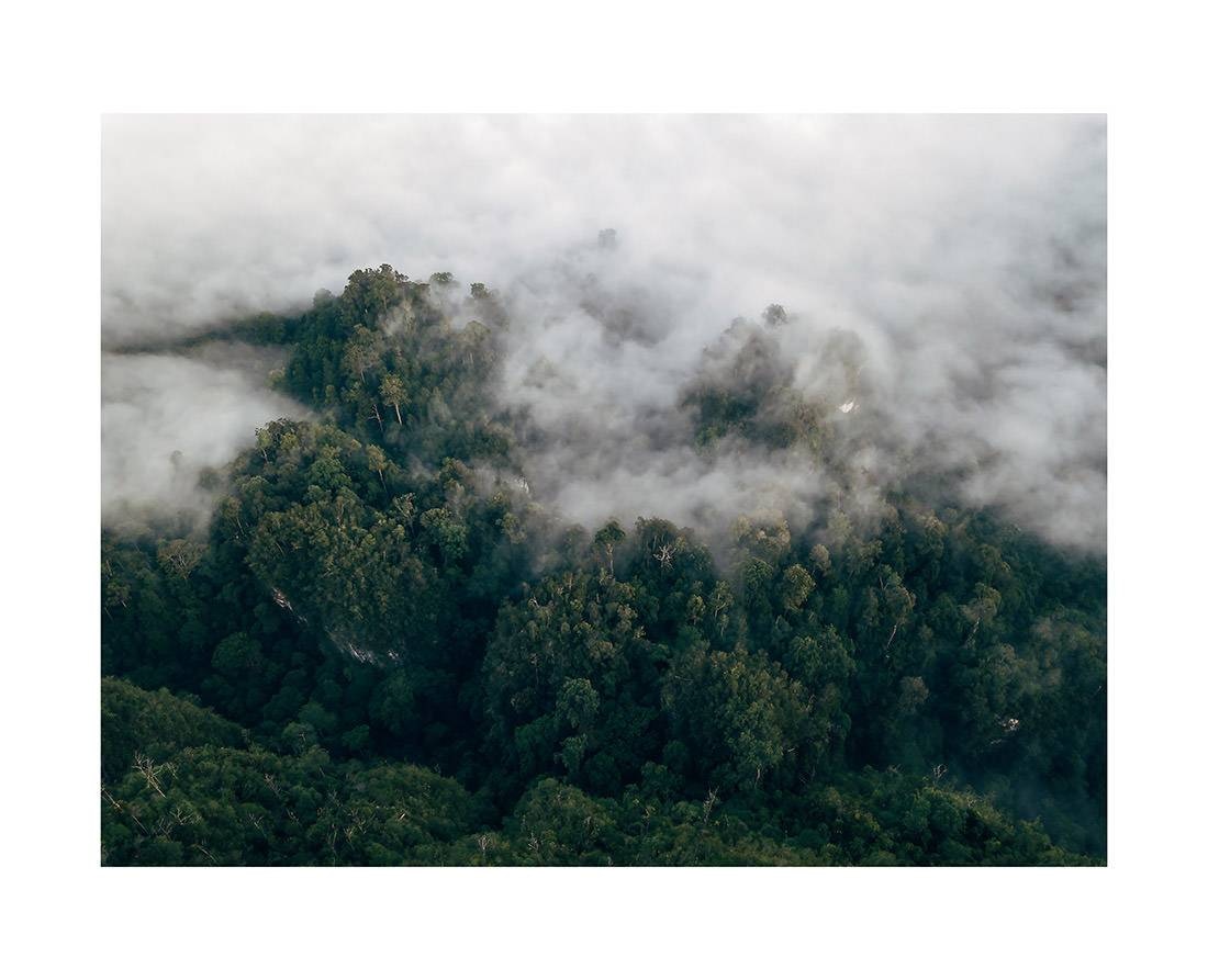 borneo bali 2018 0196 web - Borneo 11 - Makelloser Sonnenaufgang über den nebligen Dschungeln Borneos
