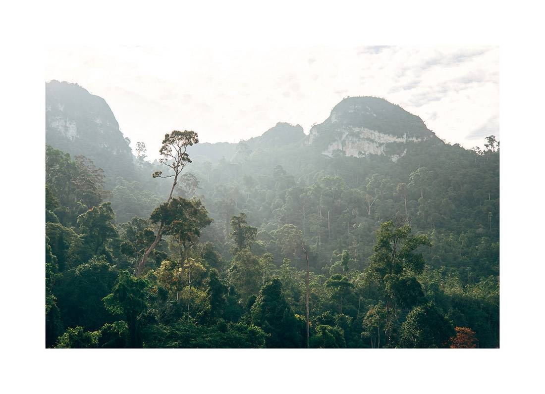 borneo bali 2018 0211 web - Borneo 13 - Drohnenflug über den unberührten Dschungel Borneos