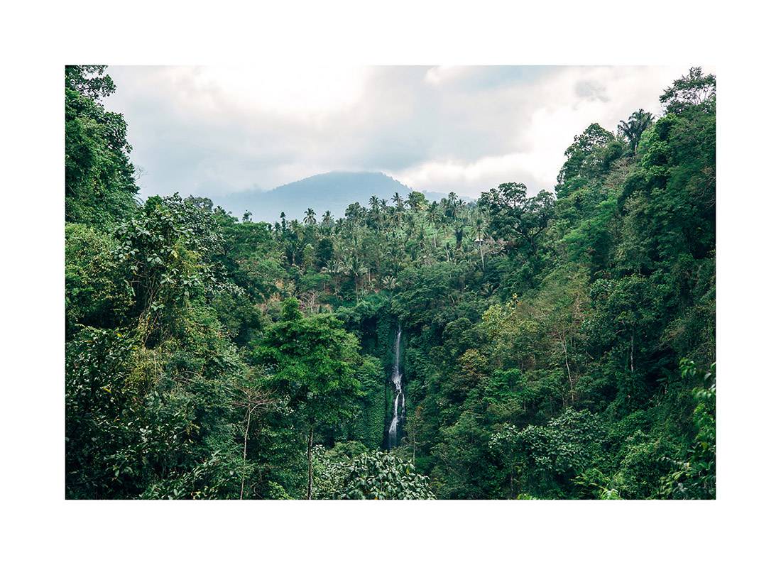 borneo bali 2018 0293 web - Borneo 22 - Ruhige Luftreise über einen versteckten Wasserfall Balis