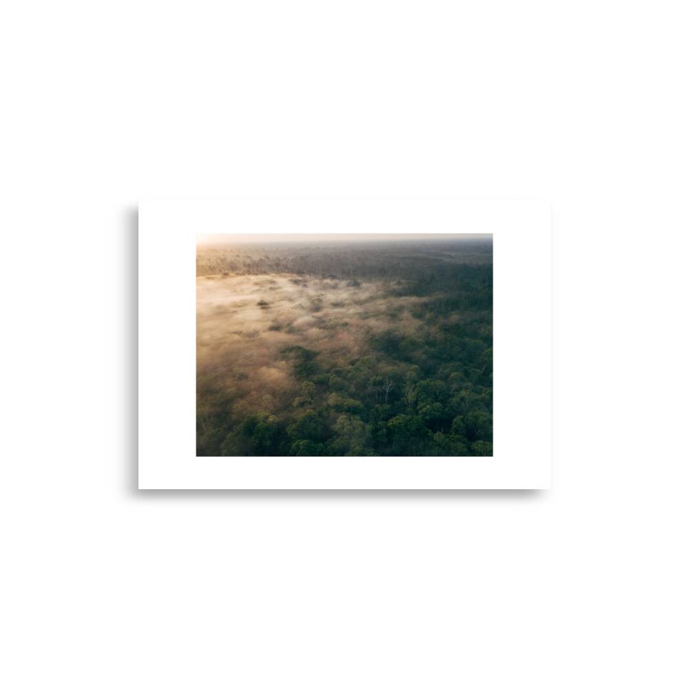 enhanced matte paper poster cm x cm front dabb.jpg