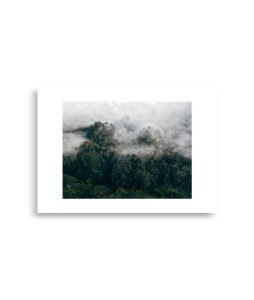 enhanced matte paper poster cm x cm front ddab.jpg