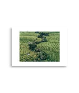 enhanced matte paper poster cm x cm front ddac.jpg