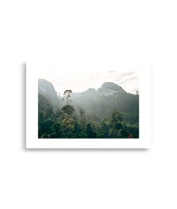 enhanced matte paper poster cm x cm front ddb.jpg