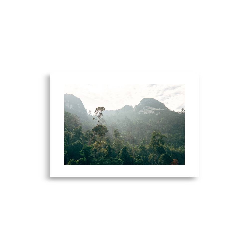 enhanced matte paper poster cm x cm front ddb.jpg