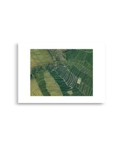 enhanced matte paper poster cm x cm front dedddf.jpg