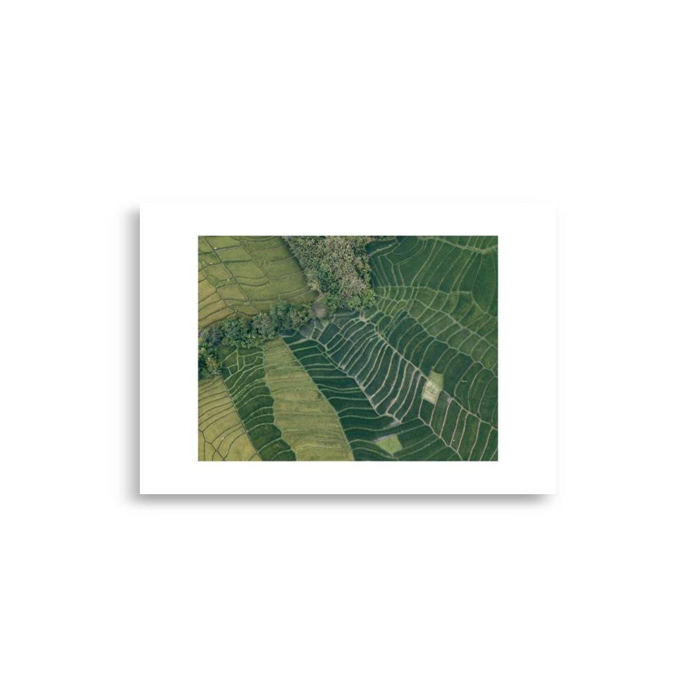 enhanced matte paper poster cm x cm front dedddf.jpg