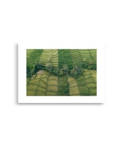 enhanced matte paper poster cm x cm front deb.jpg