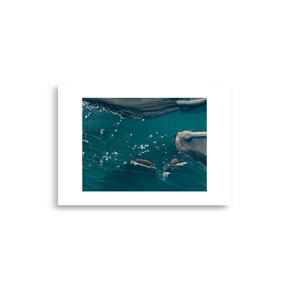 enhanced matte paper poster cm x cm front d.jpg enhanced matte paper poster cm x cm front d.jpg