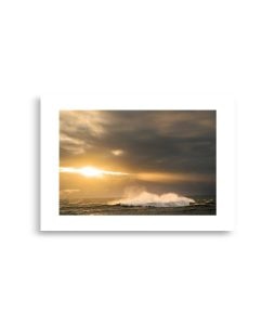 enhanced matte paper poster cm x cm front ddf.jpg