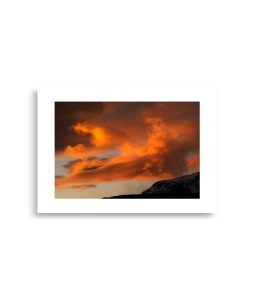 enhanced matte paper poster cm x cm front da.jpg