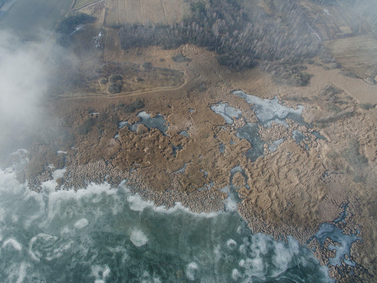 drohne luftbildaufnahmen oberschwaben altshauser weiher 0003 - Luftaufnahmen Altshauser Weiher