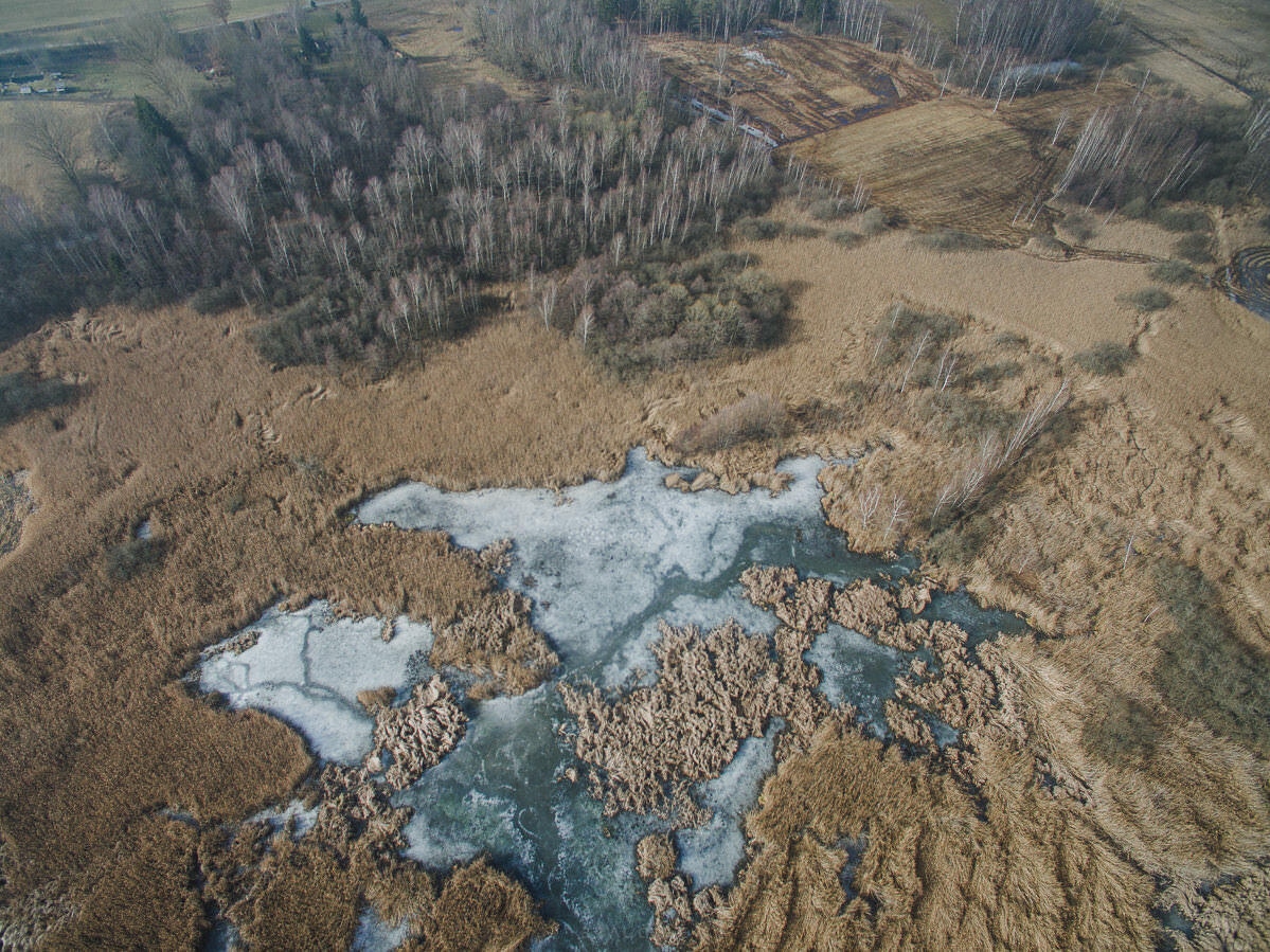 drohne luftbildaufnahmen oberschwaben altshauser weiher 0004 - Luftaufnahmen Altshauser Weiher