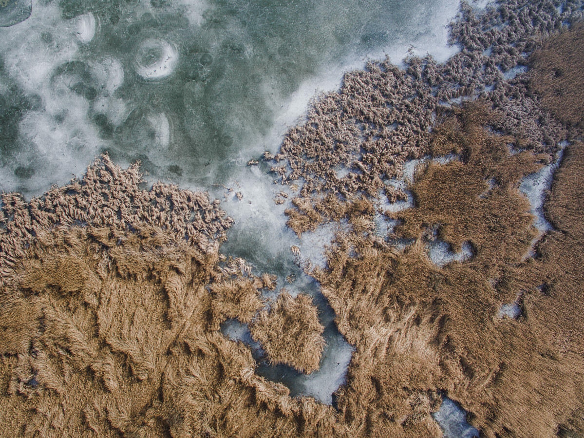 drohne luftbildaufnahmen oberschwaben altshauser weiher 0005 - Luftaufnahmen Altshauser Weiher
