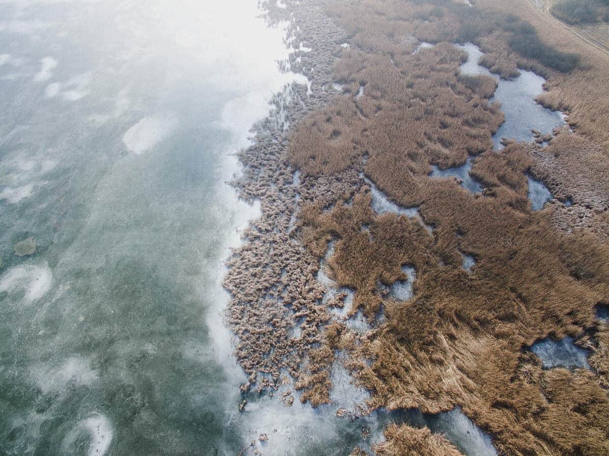 drohne luftbildaufnahmen oberschwaben altshauser weiher 0006 - Luftaufnahmen Altshauser Weiher