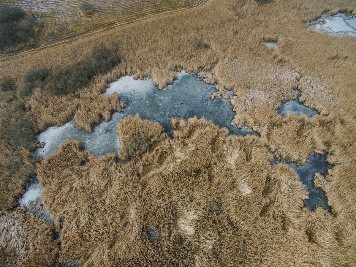 drohne luftbildaufnahmen oberschwaben altshauser weiher 0008 - Luftaufnahmen Altshauser Weiher