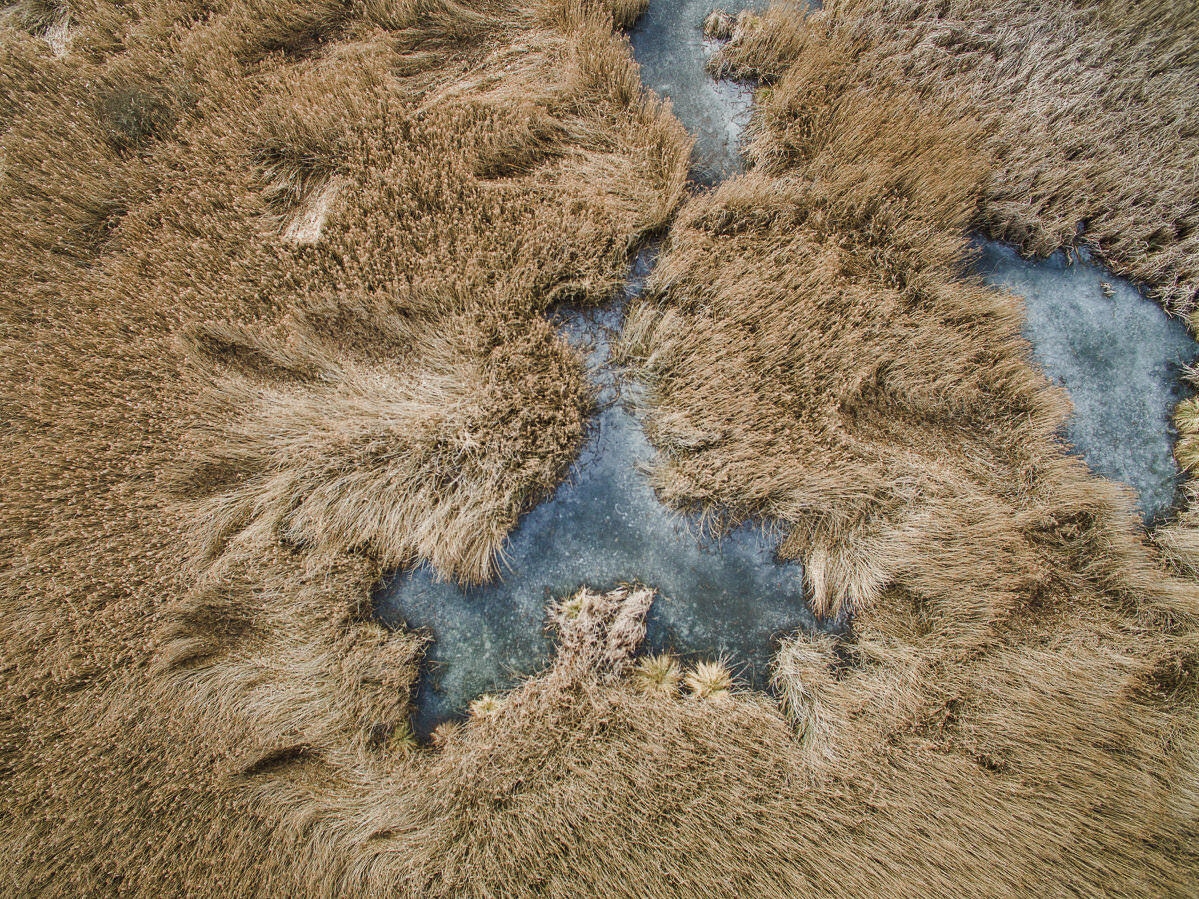 drohne luftbildaufnahmen oberschwaben altshauser weiher 0009 - Luftaufnahmen Altshauser Weiher