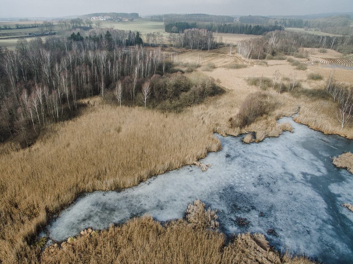 drohne luftbildaufnahmen oberschwaben altshauser weiher 0011 - Luftaufnahmen Altshauser Weiher