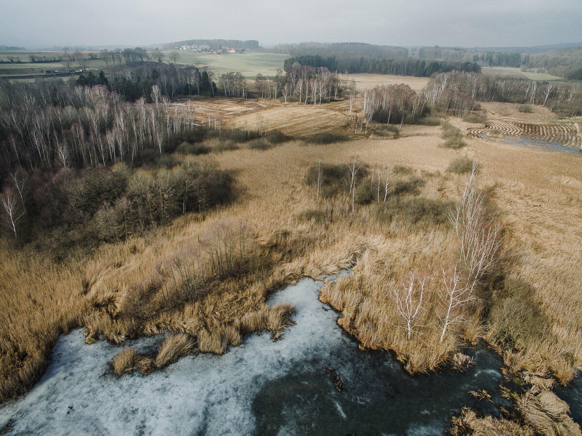 drohne luftbildaufnahmen oberschwaben altshauser weiher 0012 - Luftaufnahmen Altshauser Weiher