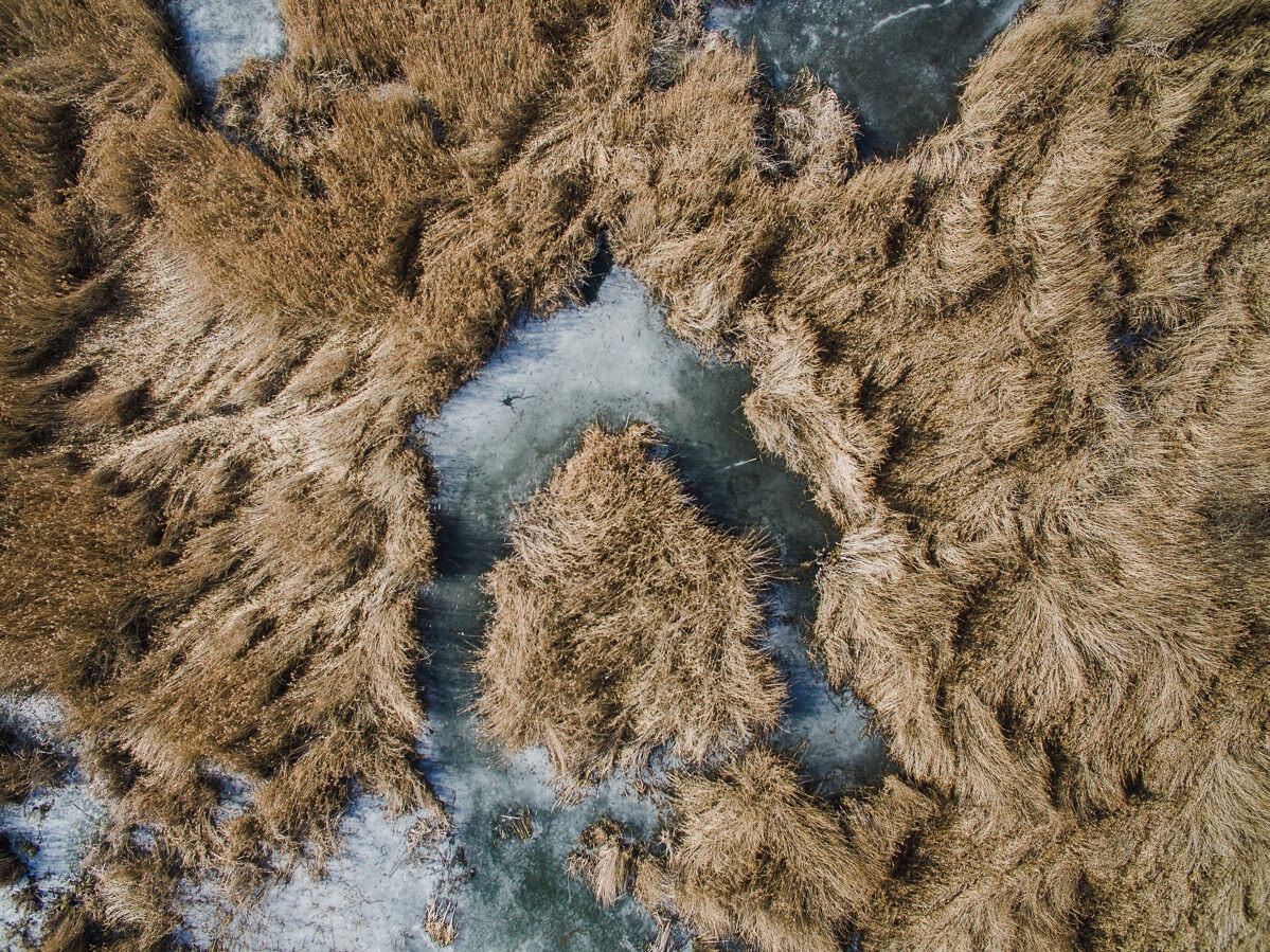 drohne luftbildaufnahmen oberschwaben altshauser weiher 0013 - Luftaufnahmen Altshauser Weiher