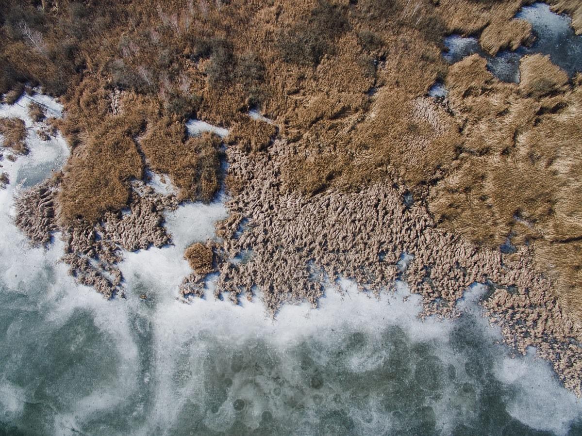 drohne luftbildaufnahmen oberschwaben altshauser weiher 0015 - Luftaufnahmen Altshauser Weiher