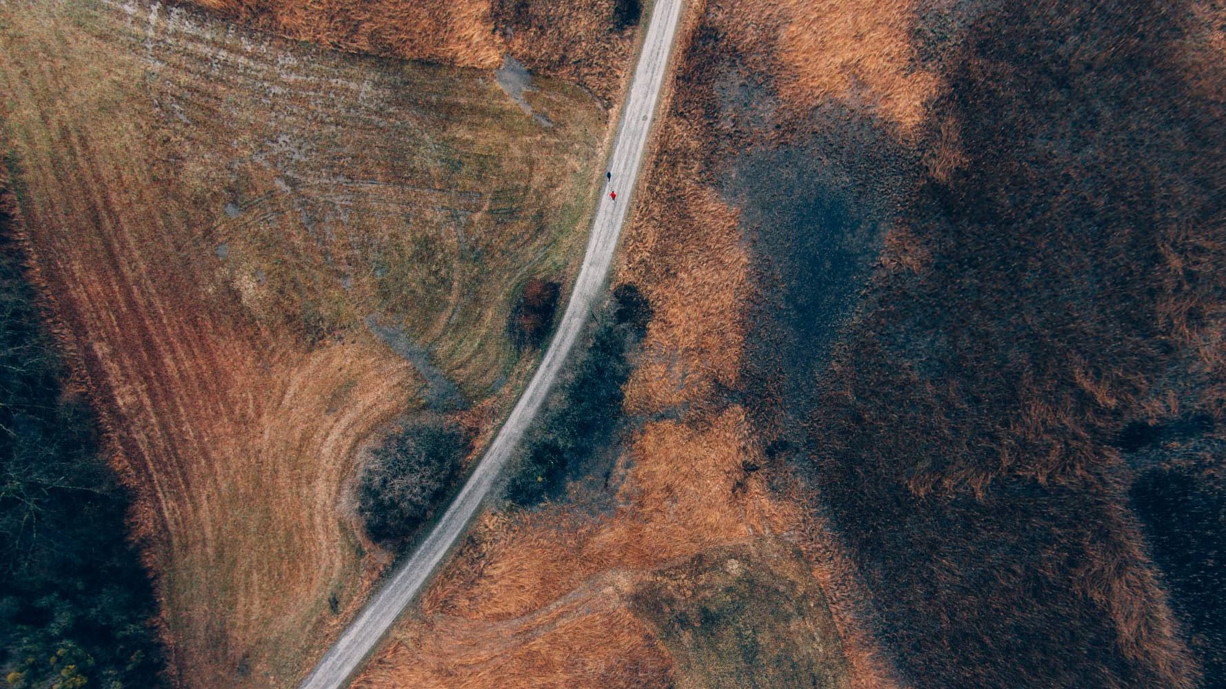 eriskircher ried 1 - Eriskircher Ried von oben