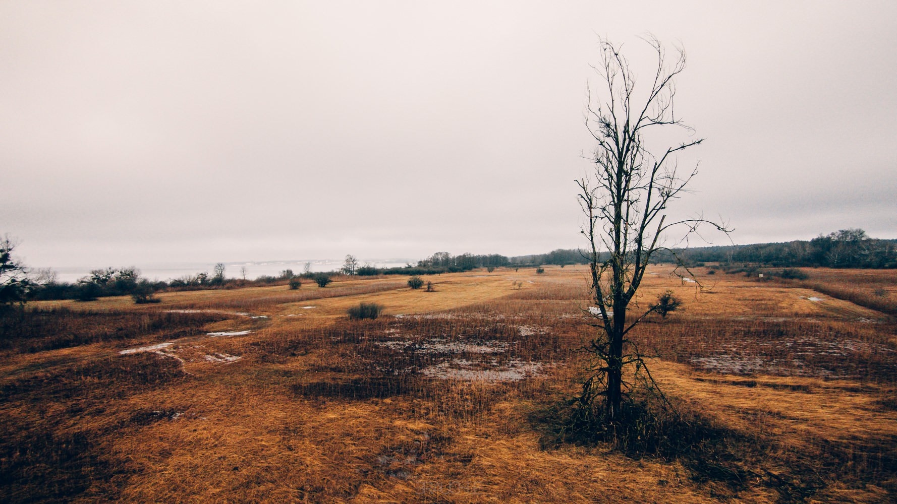 eriskircher ried 2 - Eriskircher Ried von oben