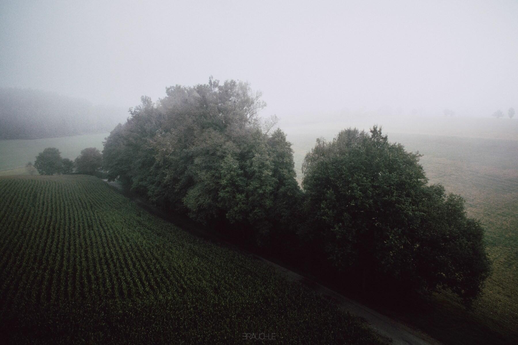 gehrenberg turm nebel drohne 0001 - Nebellandschaften am Gehrenberg