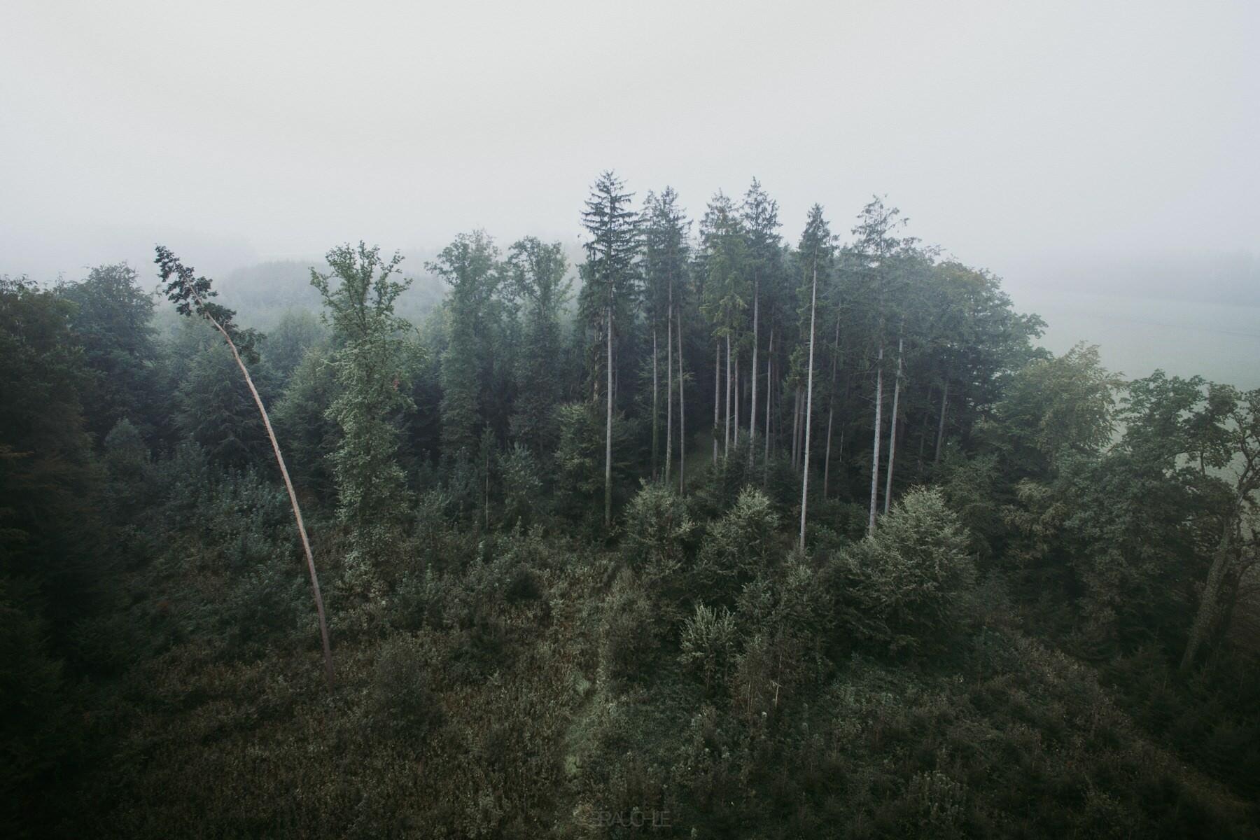 gehrenberg turm nebel drohne 0005 - Nebellandschaften am Gehrenberg