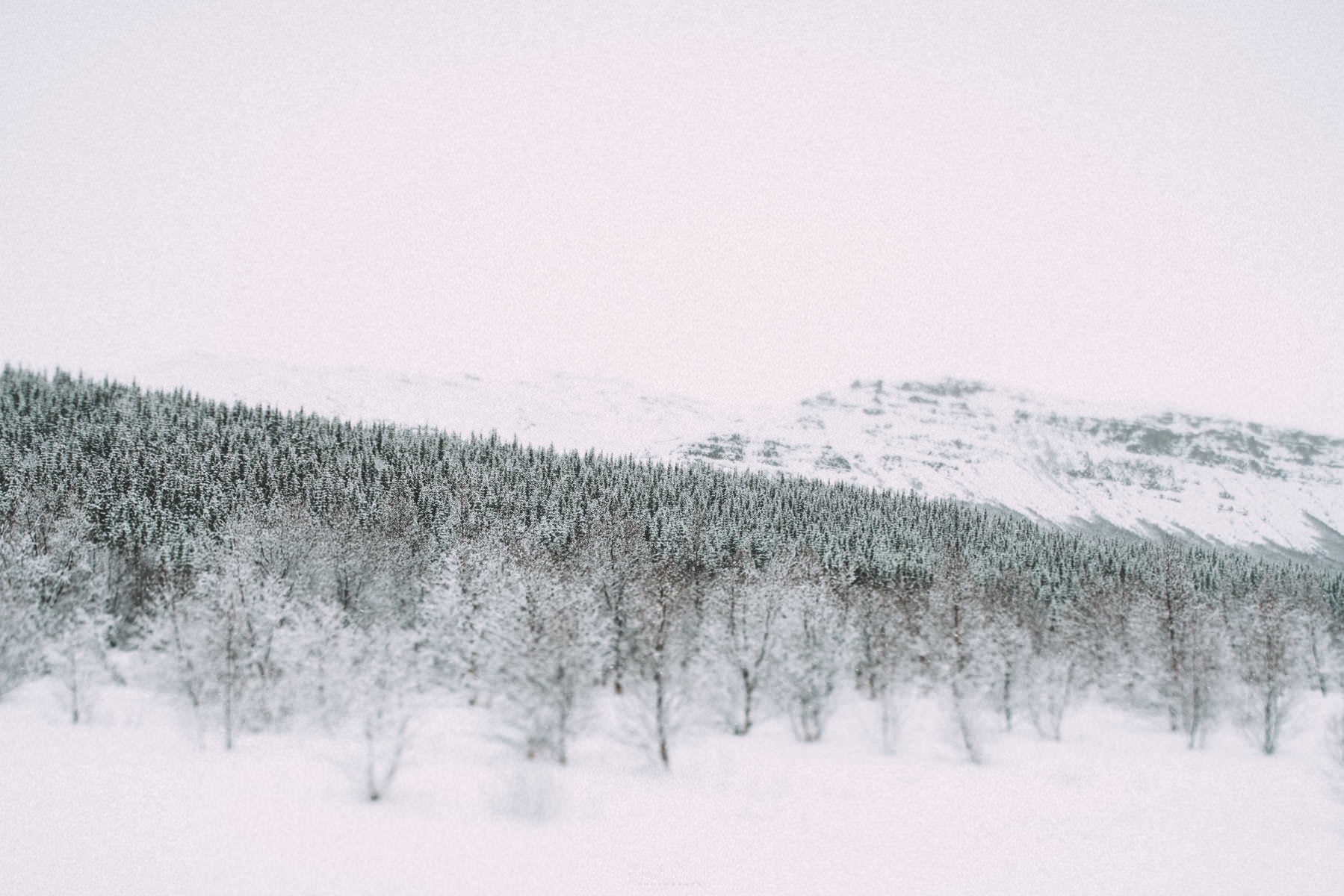 iceland fludir arborg 0019 - Islandia – Ventisca entre Flúðir y las tierras altas