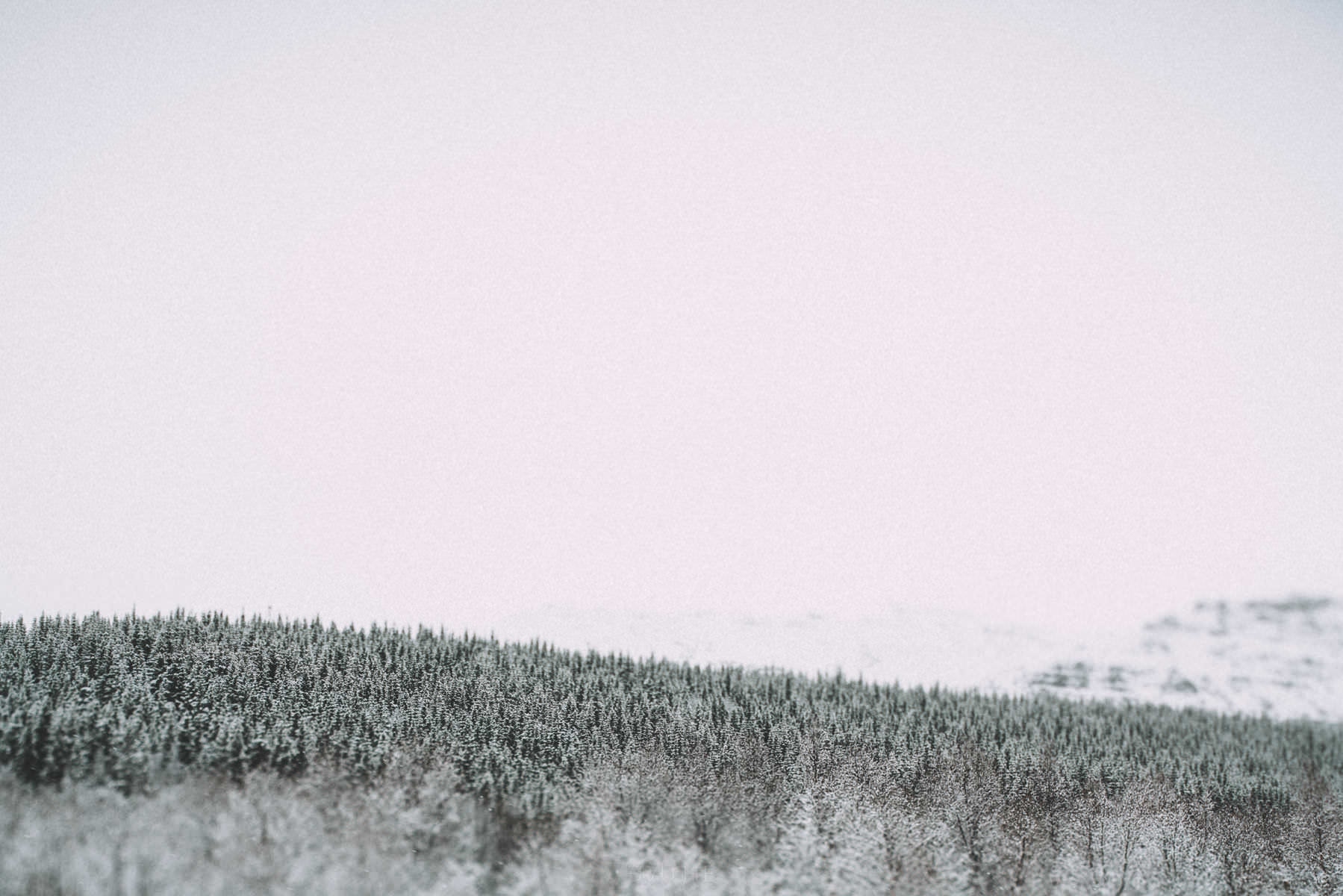 iceland fludir arborg 0021 - Islandia – Ventisca entre Flúðir y las tierras altas