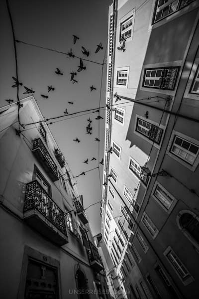 image 2227 - Lissabon - Alfama/Castelo