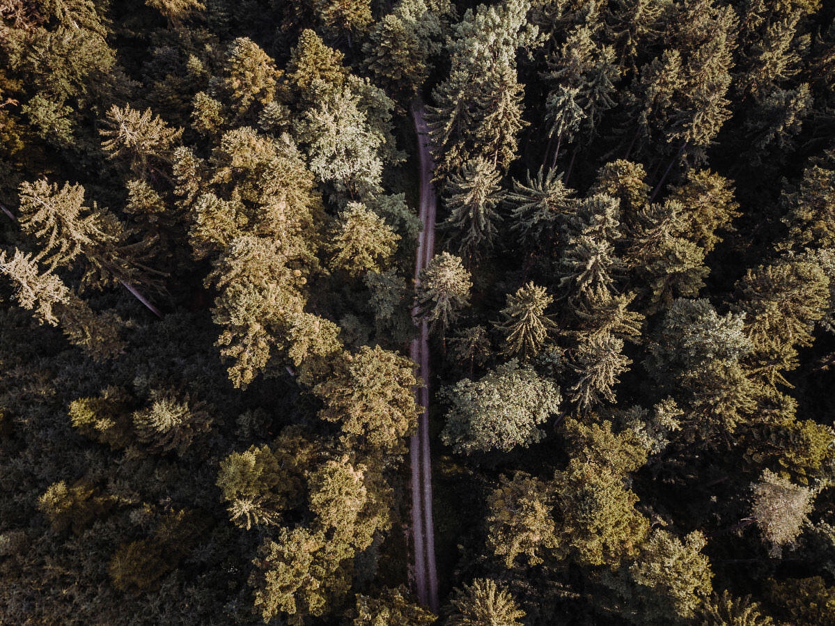 luftbild drohne bodensee gehrenberg wald 0013 - Luftaufnahmen vom Gehrenberg