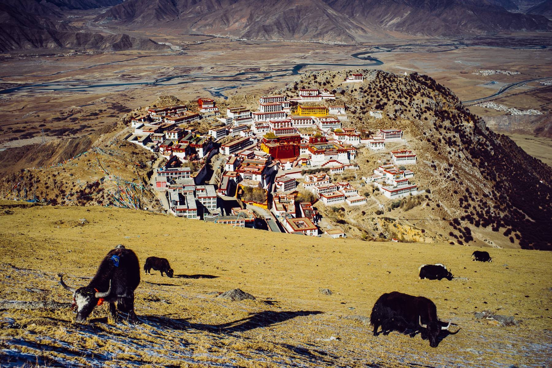 tibet ganden monastery lhasa 0039 - Ganden Monastery