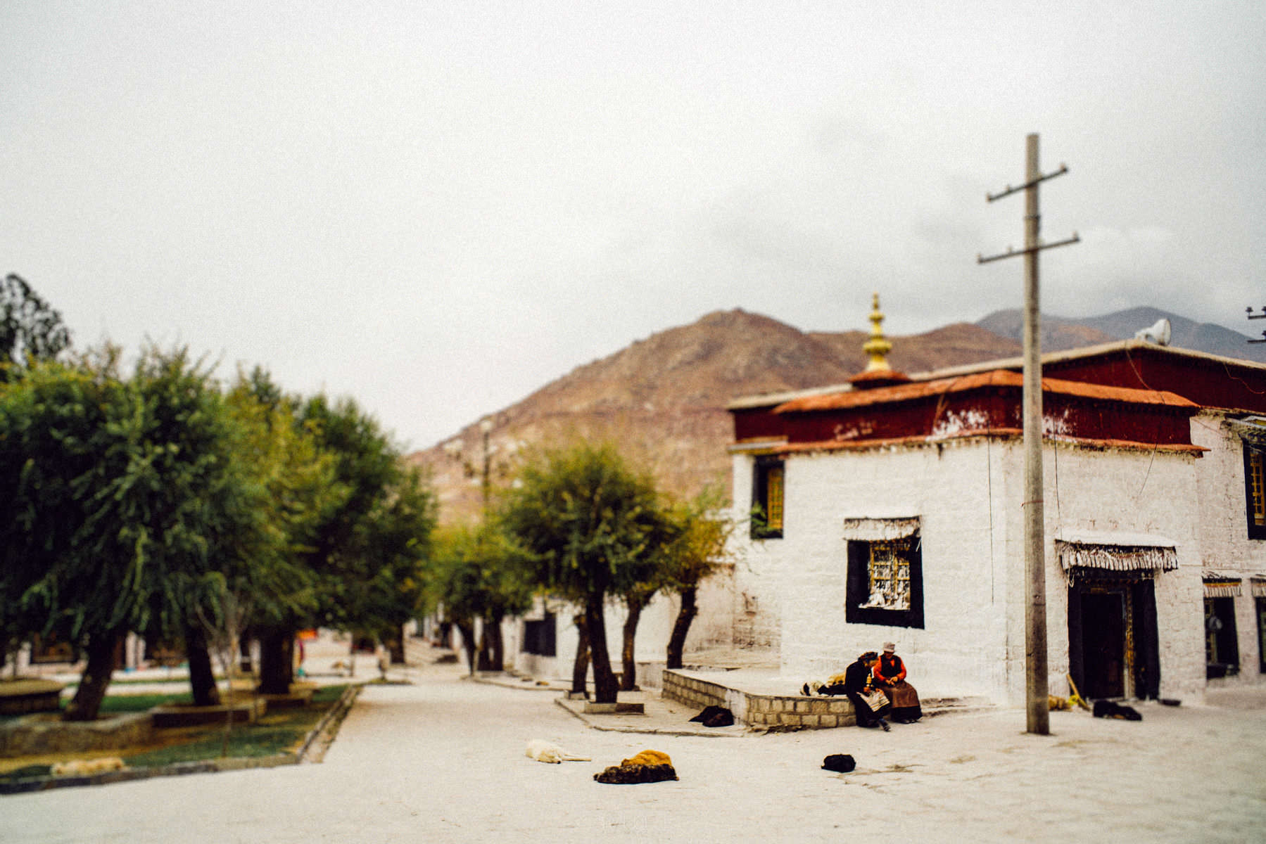 tibet lhasa sera monastry 0029 - Lhasa Jokhang & Sera Monastery