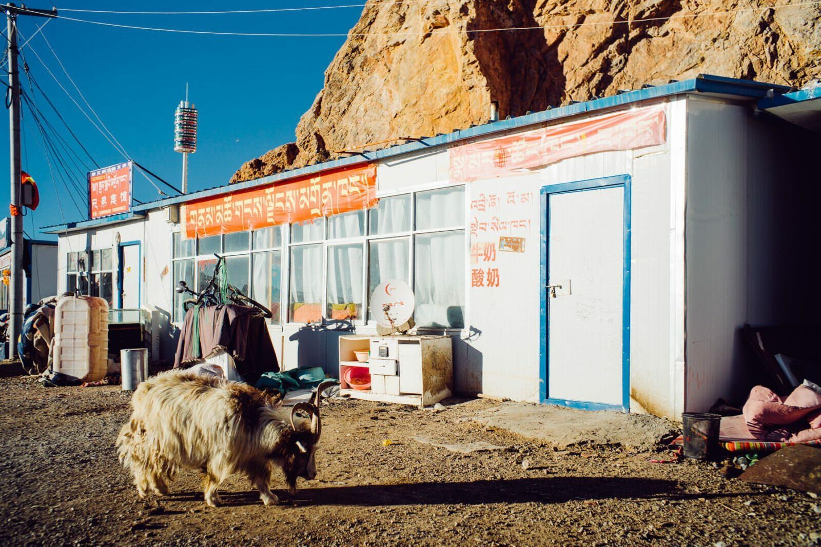tibet nam tso lake 0015 - Nam Tso Lake