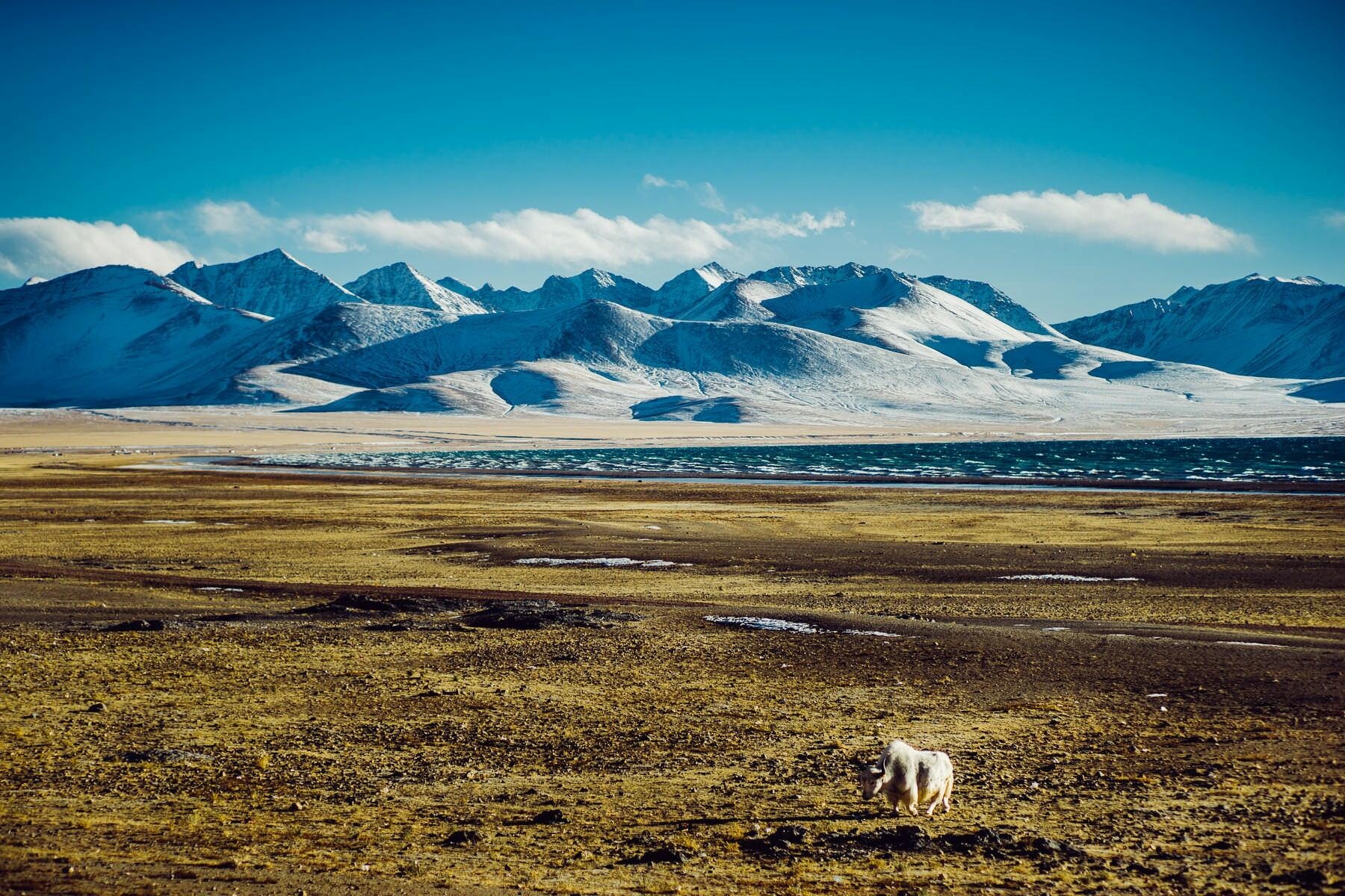 tibet nam tso lake 0020 - Nam Tso Lake