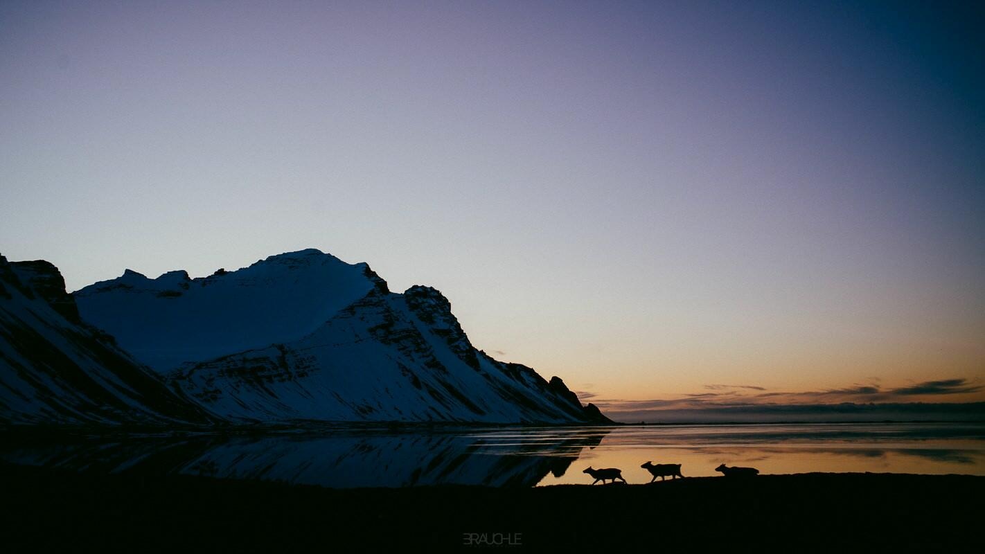 vestrahorn klifatindur mountain iceland 0008 - Iceland – Vestrahorn 